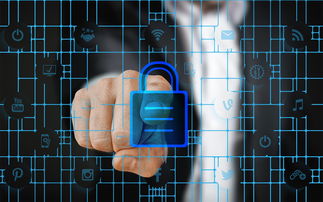 kaiyun.com-数字化体育资源共享平台建设与管理，数字体育平台是什么